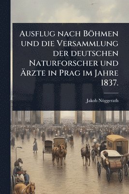 bokomslag Ausflug nach Böhmen und die Versammlung der deutschen Naturforscher und Ã¿rzte in Prag im Jahre 1837.
