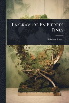 bokomslag Gravure En Pierres Fines