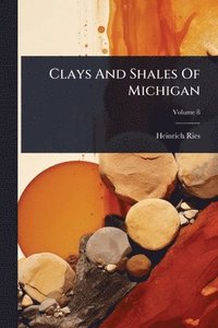 bokomslag Clays And Shales Of Michigan