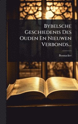bokomslag Bybelsche Geschiedenis Des Ouden En Nieuwen Verbonds...
