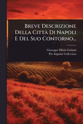 bokomslag Breve Descrizione Della CittÃ Di Napoli E Del Suo Contorno...