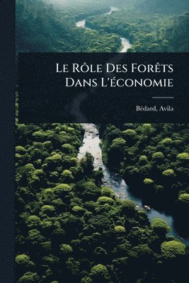 bokomslag RÃ¿le Des ForÃats Dans L'Ã(c)conomie