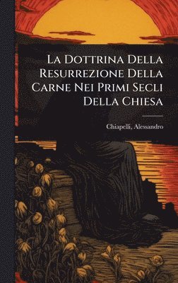 bokomslag Dottrina Della Resurrezione Della Carne Nei Primi Secli Della Chiesa