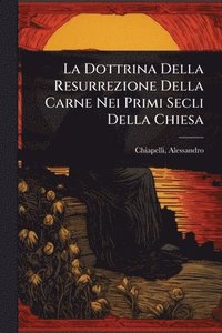bokomslag Dottrina Della Resurrezione Della Carne Nei Primi Secli Della Chiesa