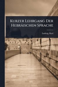 bokomslag Kurzer Lehrgang Der Hebräischen Sprache