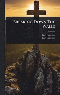 bokomslag Breaking Down The Walls
