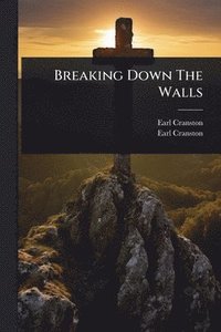 bokomslag Breaking Down The Walls
