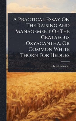 bokomslag Practical Essay On The Raising And Management Of The Crataegus Oxyacantha, Or Common White Thorn For Hedges
