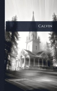 bokomslag Calvin