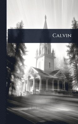 bokomslag Calvin