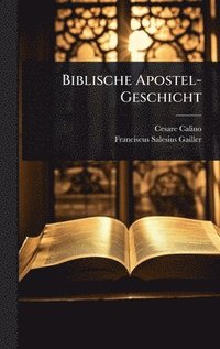 bokomslag Biblische Apostel-Geschicht