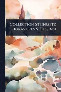 bokomslag Collection Steinmetz (gravures & Dessins)