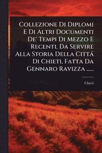 bokomslag Collezione Di Diplomi E Di Altri Documenti De' Tempi Di Mezzo E Recenti, Da Servire Alla Storia Della Città Di Chieti, Fatta Da Gennaro Ravizza ......