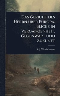 bokomslag Gericht des Herrn Ã1/4ber Europa. Blicke in Vergangenheit, Gegenwart und Zukunft