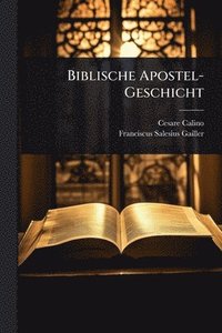 bokomslag Biblische Apostel-Geschicht