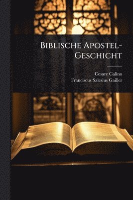 bokomslag Biblische Apostel-Geschicht