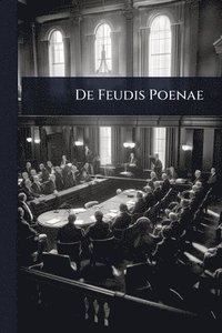 bokomslag De Feudis Poenae