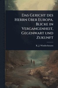 bokomslag Gericht des Herrn Ã1/4ber Europa. Blicke in Vergangenheit, Gegenwart und Zukunft