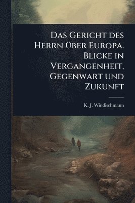 bokomslag Gericht des Herrn Ã1/4ber Europa. Blicke in Vergangenheit, Gegenwart und Zukunft