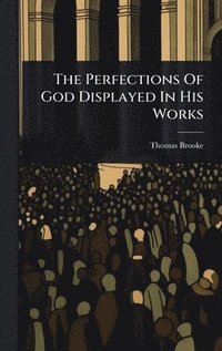 bokomslag Perfections Of God Displayed In His Works