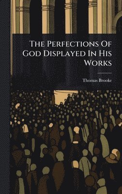 bokomslag Perfections Of God Displayed In His Works