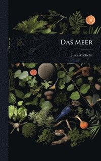 bokomslag Meer