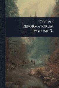 bokomslag Corpus Reformatorum, Volume 3...