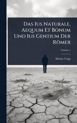 bokomslag Das Ius Naturale, Aequum Et Bonum Und Ius Gentium Der Römer