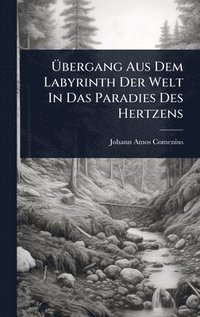 bokomslag Ã¿bergang Aus Dem Labyrinth Der Welt In Das Paradies Des Hertzens