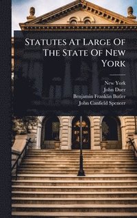 bokomslag Statutes At Large Of The State Of New York
