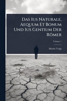 bokomslag Das Ius Naturale, Aequum Et Bonum Und Ius Gentium Der Römer