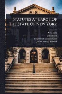 bokomslag Statutes At Large Of The State Of New York