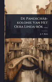 bokomslag De Pandschâb-kolonie Van Het Oera Linda-bÃ¿k ......