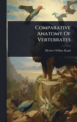 bokomslag Comparative Anatomy Of Vertebrates