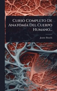 bokomslag Curso Completo De AnatomÃ-a Del Cuerpo Humano...