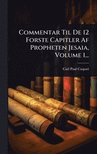 bokomslag Commentar Til De 12 Forste Capitler Af Propheten Jesaia, Volume 1...