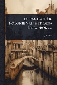 bokomslag De Pandschâb-kolonie Van Het Oera Linda-bÃ¿k ......