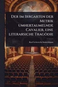 bokomslag im Irrgarten der Metrik umhertaumelnde Cavalier, eine literarsiche Tragödie