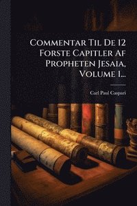 bokomslag Commentar Til De 12 Forste Capitler Af Propheten Jesaia, Volume 1...