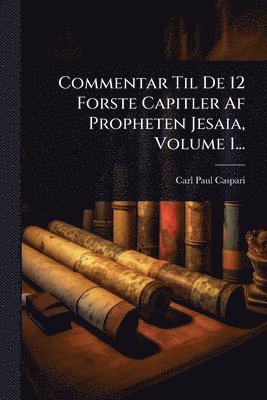 bokomslag Commentar Til De 12 Forste Capitler Af Propheten Jesaia, Volume 1...