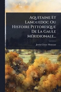 bokomslag Aquitaine Et Languedoc Ou Histoire Pittoresque De La Gaule MÃ(c)ridionale...