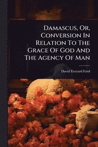 bokomslag Damascus, Or, Conversion In Relation To The Grace Of God And The Agency Of Man