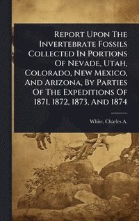 bokomslag Report Upon The Invertebrate Fossils Collected In Portions Of Nevade, Utah, Colorado, New Mexico, And Arizona, By Parties Of The Expeditions Of 1871, 1872, 1873, And 1874