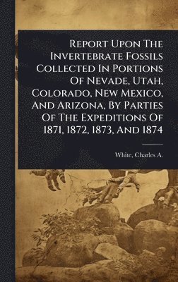 bokomslag Report Upon The Invertebrate Fossils Collected In Portions Of Nevade, Utah, Colorado, New Mexico, And Arizona, By Parties Of The Expeditions Of 1871, 1872, 1873, And 1874