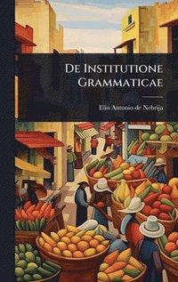 bokomslag De Institutione Grammaticae