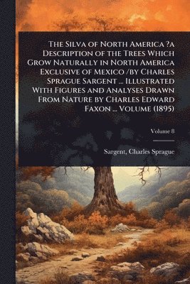 bokomslag Silva of North America ?a Description of the Trees Which Grow Naturally in North America Exclusive of Mexico /by Charles Sprague Sargent ... Illustrated With Figures and Analyses Drawn From Nature ...