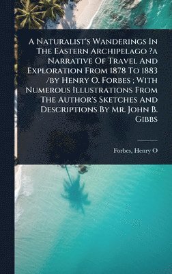 bokomslag Naturalist's Wanderings In The Eastern Archipelago ?a Narrative Of Travel And Exploration From 1878 To 1883 /by Henry O. Forbes; With Numerous Illustrations From The Author's Sketches And Descripti...