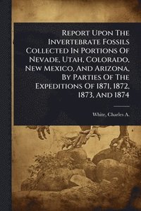 bokomslag Report Upon The Invertebrate Fossils Collected In Portions Of Nevade, Utah, Colorado, New Mexico, And Arizona, By Parties Of The Expeditions Of 1871, 1872, 1873, And 1874