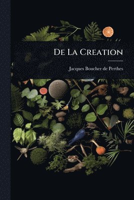 bokomslag De La Creation
