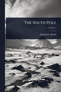bokomslag South Pole